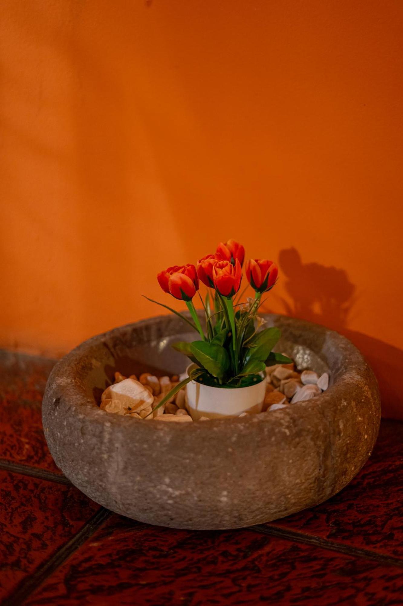 Hotel Villa Espanola Ciudad Guatemala Eksteriør billede